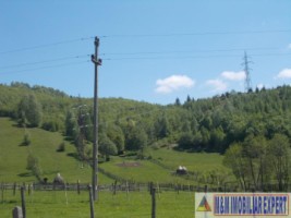 teren-intraextravilan-4800-mp-tarina-leresti-arges-potrivit-pentru-constructii-sau-agricultura-4