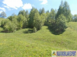 teren-intraextravilan-4800-mp-tarina-leresti-arges-potrivit-pentru-constructii-sau-agricultura-5