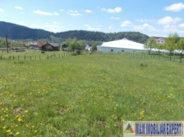 teren-intraextravilan-4800-mp-tarina-leresti-arges-potrivit-pentru-constructii-sau-agricultura-6