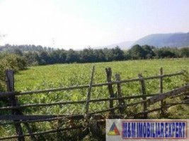 teren-5000-mp-extravilan-de-vanzare-in-leresti-arges-ideal-pentru-activitati-agricole-9