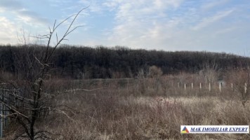 teren-intravilan-1100-mp-de-vanzare-in-mogosoaia-ideal-pentru-constructii-rezidentiale-1