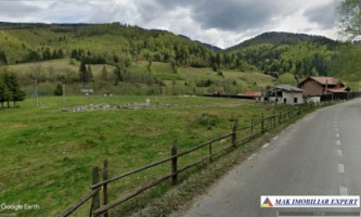 teren-intravilan-4840-mp-de-vanzare-rucar-satic-arges-3