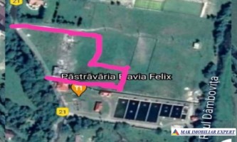 teren-intravilan-4840-mp-de-vanzare-rucar-satic-arges-7