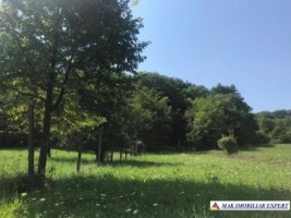 teren-intra-extravilan-4000-mp-in-apa-sarata-campulung-muscel-2