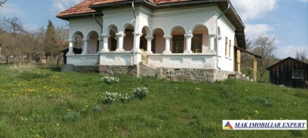 casa-stil-neoromanesc-3-camere-teren-5000-mp-bradetu-1