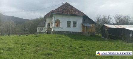 casa-stil-neoromanesc-3-camere-teren-5000-mp-bradetu-2