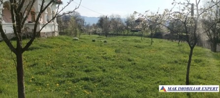 casa-stil-neoromanesc-3-camere-teren-5000-mp-bradetu-4