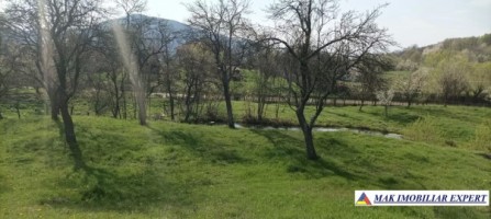 casa-stil-neoromanesc-3-camere-teren-5000-mp-bradetu-7