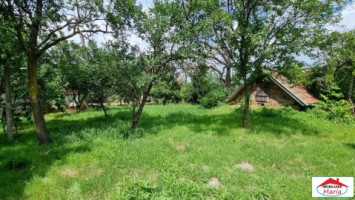 casa-in-ardud-id-22726-2