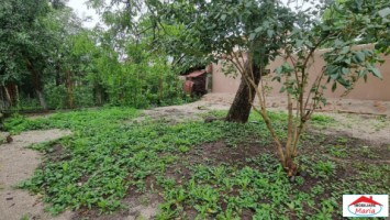 casa-solida-zona-14-mai-id-22739-12