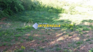 teren-intravilan-de-vanzare-4000-mp-zona-alba-micesti