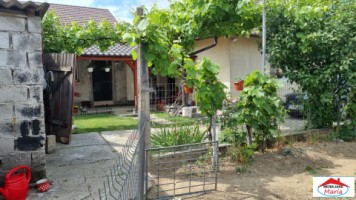 casa-cu-teren-647-mp-zona-draxelmaier-id-22440-8