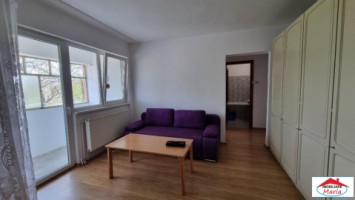 apartament-2-camere-etaj-1-botizului-id-22722