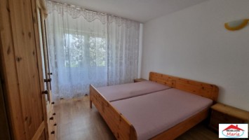 apartament-2-camere-etaj-1-botizului-id-22722-7