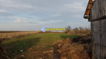 casa-de-vanzare-cu-3-camere-in-oiejdea-judet-alba-teren-1052-mp-1