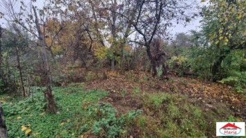 casa-in-zona-titulescu-cu-teren-935-mp-id-22589-3