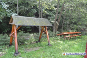 vila-la-munte-10-camere-teren-578-mp-bradulet-7