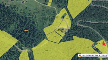 teren-intravilan-1-ha-rasnov-brasov-oportunitate-de-investitie-5