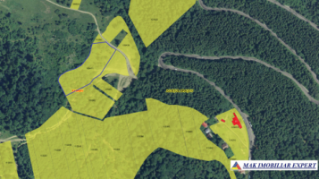 teren-intravilan-1-ha-rasnov-brasov-oportunitate-de-investitie-6