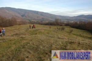 teren-3-ha-intravilan-nucsoara-oportunitate-de-investitie-in-zona-verde-4