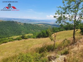 oferta-teren-de-vanzare-33-de-hectare-alba-iulia-inuri-2