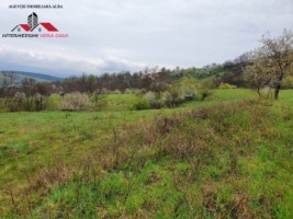 oferta-teren-de-vanzare-33-de-hectare-alba-iulia-inuri-4