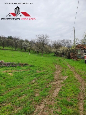 oferta-teren-de-vanzare-33-de-hectare-alba-iulia-inuri-5