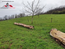 oferta-teren-de-vanzare-33-de-hectare-alba-iulia-inuri-12