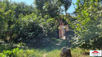 casa-parter-cu-gradina-10-arii-14-mai-id22768-2