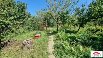 casa-parter-cu-gradina-10-arii-14-mai-id22768-3