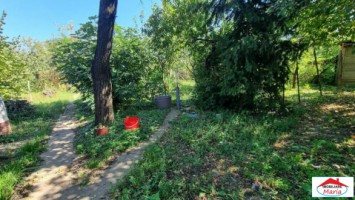casa-parter-cu-gradina-10-arii-14-mai-id22768-11
