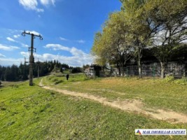 teren-de-31-ha-intra-si-extravilan-de-vanzare-in-dealul-sasului-dambovicioara-arges-ideal-pentru-dezvoltari-turistice-sau-agricole-1