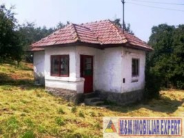 teren-intravilan-de-vanzare-8000-mp-in-cretisoara-campulung-muscel-arges-ideal-pentru-dezvoltare-rezidentiala