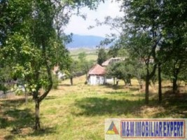 teren-intravilan-de-vanzare-8000-mp-in-cretisoara-campulung-muscel-arges-ideal-pentru-dezvoltare-rezidentiala-1