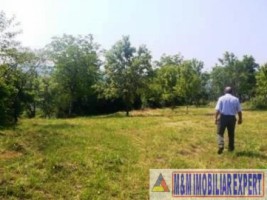 teren-intravilan-de-vanzare-8000-mp-in-cretisoara-campulung-muscel-arges-ideal-pentru-dezvoltare-rezidentiala-7