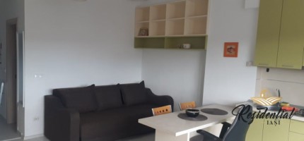 de-inchiriat-apartament-cu-1-camera-in-bloc-nou-tatarasi-2-baieti-6