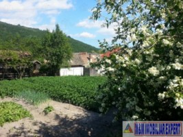 casa-4-camere-teren-2000-euro-stoenesti-7