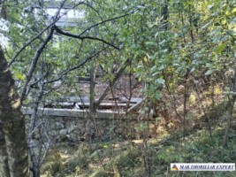 vand-teren-3500-mp-livada-intravilan-campulung-muscel-arges-1