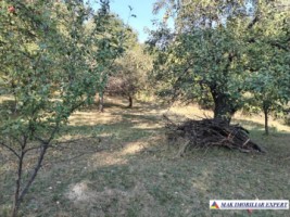 vand-teren-3500-mp-livada-intravilan-campulung-muscel-arges-3