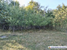 vand-teren-3500-mp-livada-intravilan-campulung-muscel-arges-4