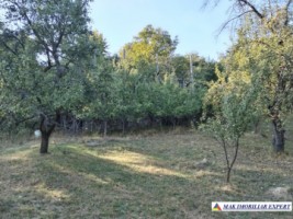 vand-teren-3500-mp-livada-intravilan-campulung-muscel-arges-5