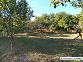 vand-teren-3500-mp-livada-intravilan-campulung-muscel-arges-6