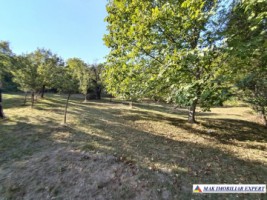 vand-teren-3500-mp-livada-intravilan-campulung-muscel-arges-7