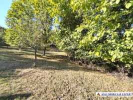 vand-teren-3500-mp-livada-intravilan-campulung-muscel-arges-8