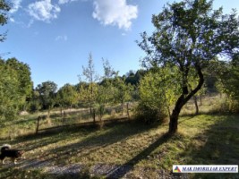 vand-teren-3500-mp-livada-intravilan-campulung-muscel-arges-9