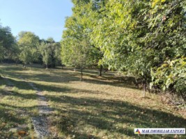 vand-teren-3500-mp-livada-intravilan-campulung-muscel-arges-10