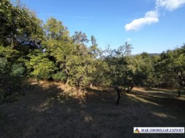 vand-teren-3500-mp-livada-intravilan-campulung-muscel-arges-11