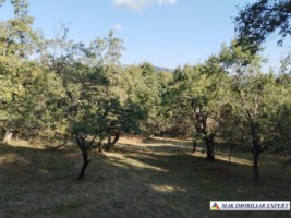 vand-teren-3500-mp-livada-intravilan-campulung-muscel-arges-12