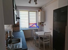 inchiriez-apartament-2-camererecent-renovat-zona-terezian-4