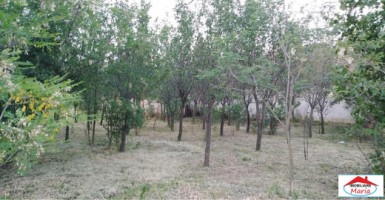 2-case-1-loc-casateren-in-chereusa-4